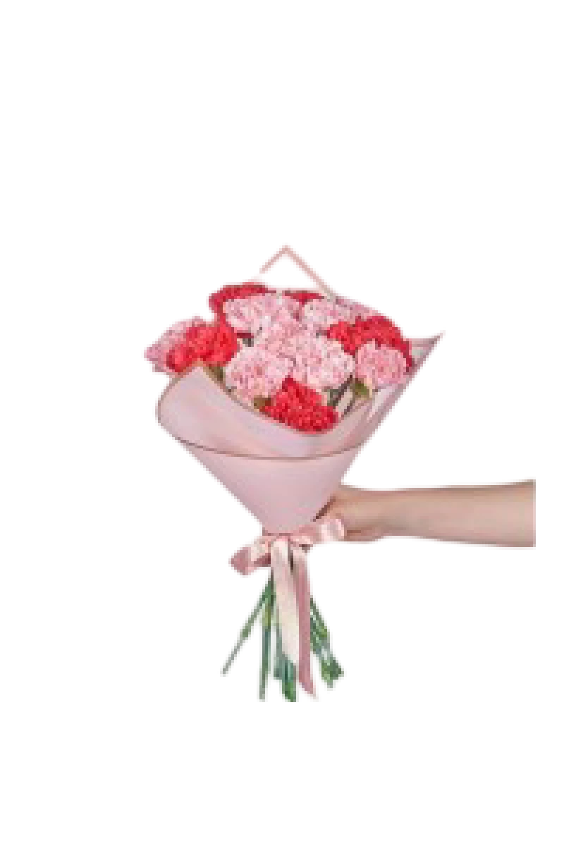 KARIŞIK KARANFil BUKETİ