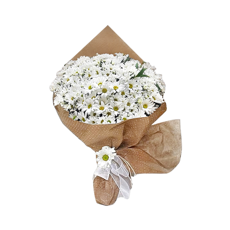 DOĞALLIĞIN ESİNTİSİ PAPATYA